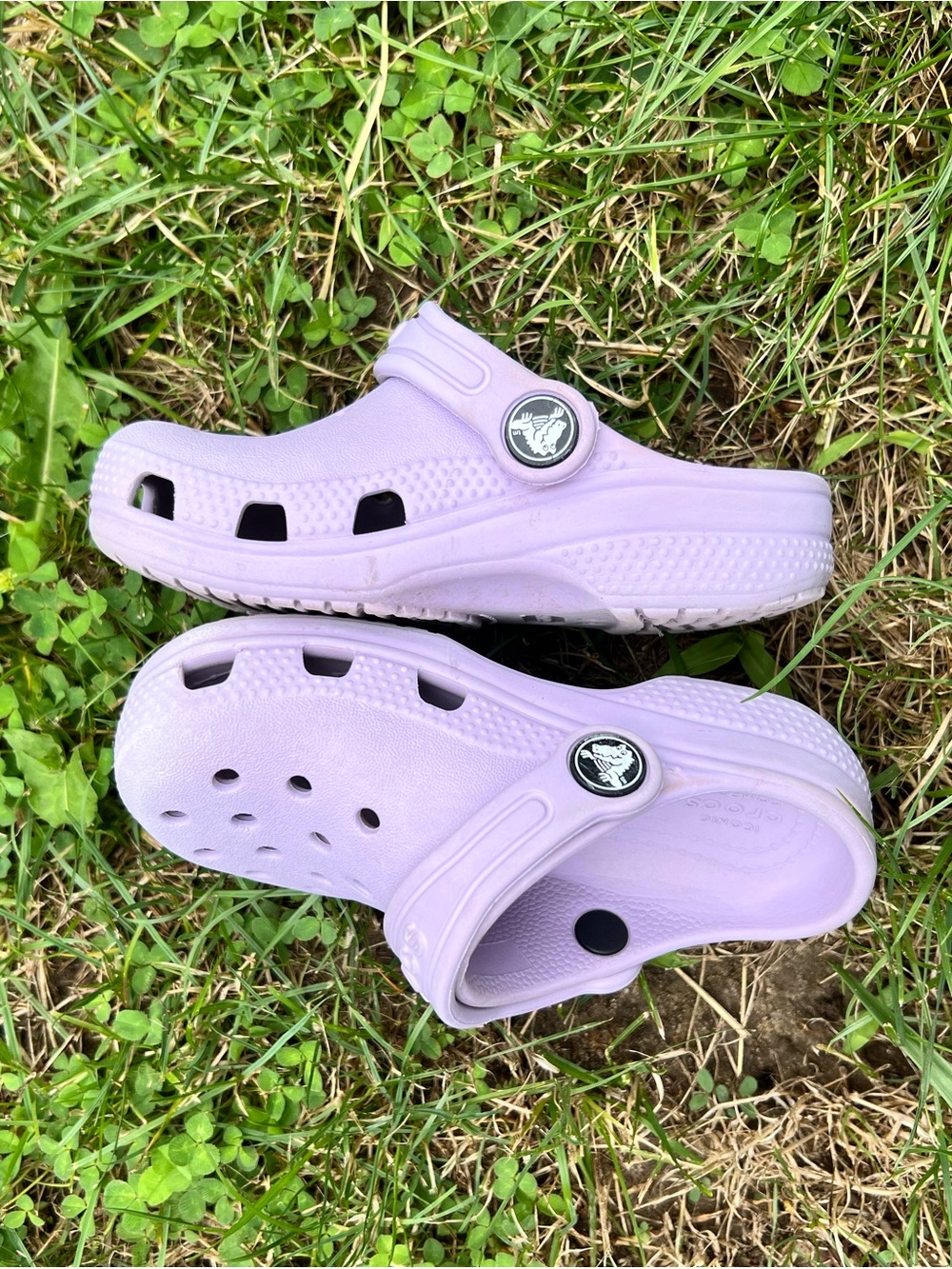 Crocs | C8 | Clogs - Picture 5 of 5